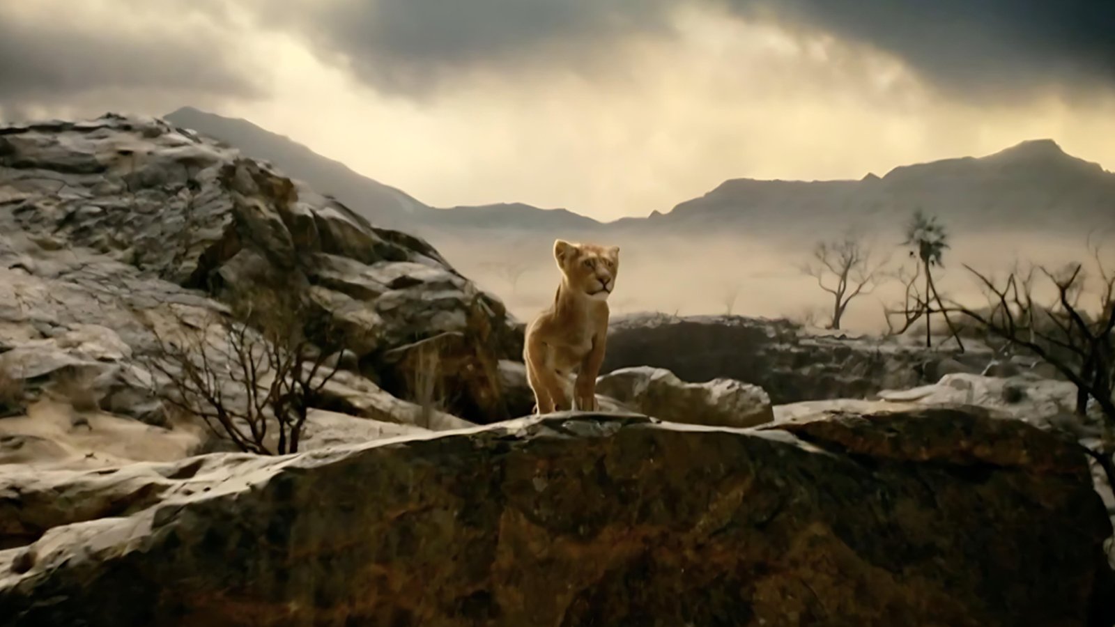 Disney ने जारी किया Mufasa: The Lion King का First Look