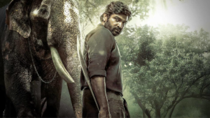 Kaattaan__full_imgjpg_1772177744629